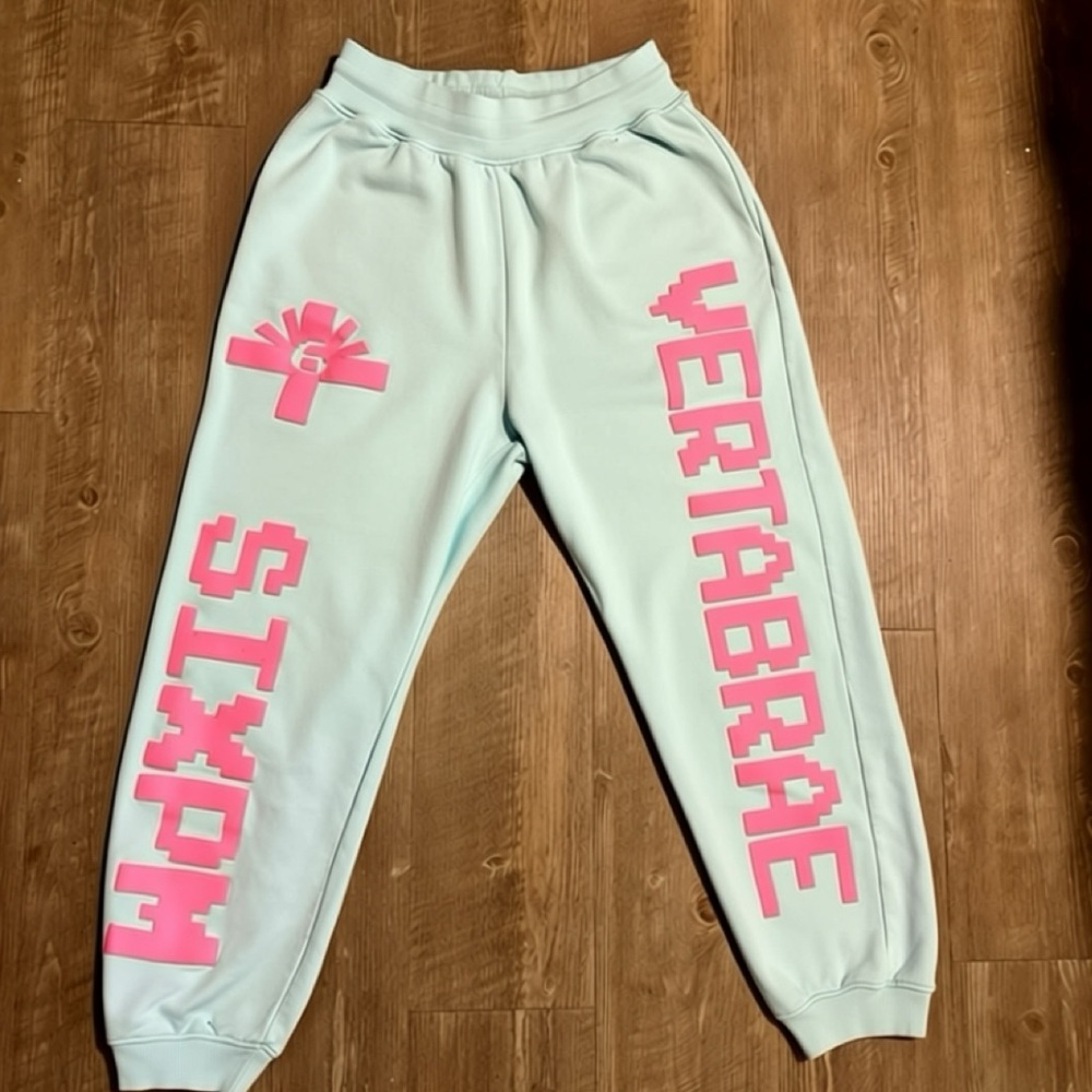 Vertabrae Light blue with pink pants